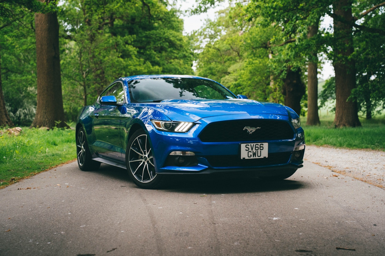 Khám phá trái đất phần Khủng hình thức giải trí trực đường đỉnh điểm tại https//sv66.vegas/ - Trải nghiệm khác biệt, thăng hạng niềm vui!